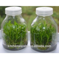 2014 haonai geliable glass products,litre glass bottle